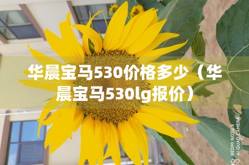 华晨宝马530价格多少（华晨宝马530lg报价）