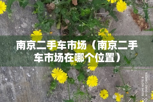 南京二手车市场（南京二手车市场在哪个位置）