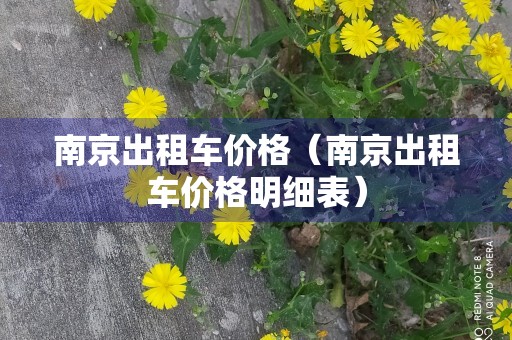 南京出租车价格（南京出租车价格明细表）