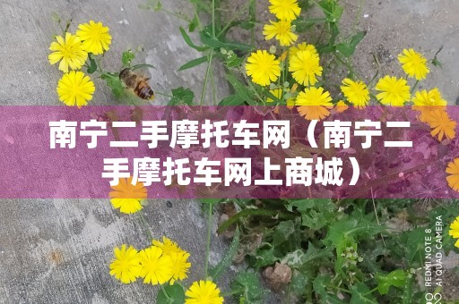 南宁二手摩托车网（南宁二手摩托车网上商城）