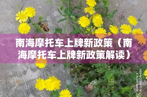 南海摩托车上牌新政策（南海摩托车上牌新政策解读）