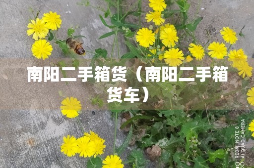 南阳二手箱货（南阳二手箱货车）