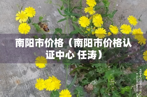 南阳市价格（南阳市价格认证中心 任涛）