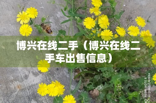 博兴在线二手（博兴在线二手车出售信息）