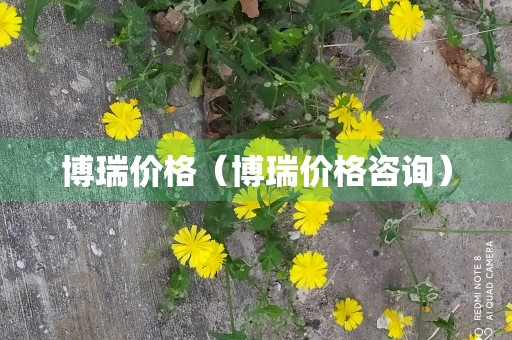 博瑞价格（博瑞价格咨询）