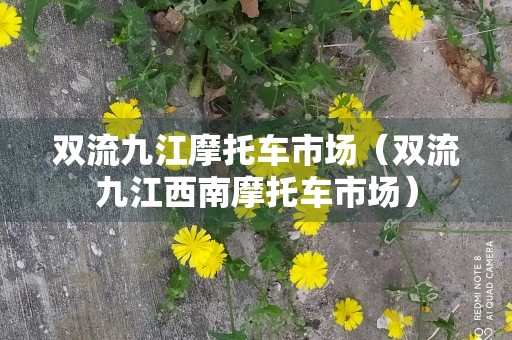 双流九江摩托车市场（双流九江西南摩托车市场）