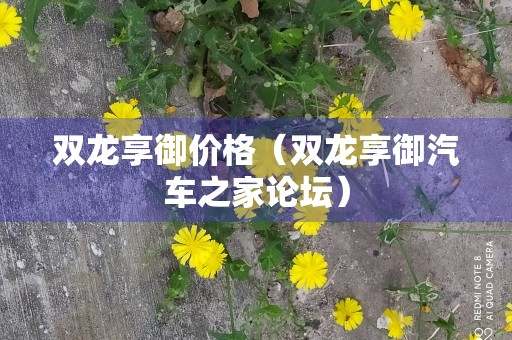 双龙享御价格（双龙享御汽车之家论坛）