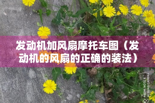 发动机加风扇摩托车图（发动机的风扇的正确的装法）