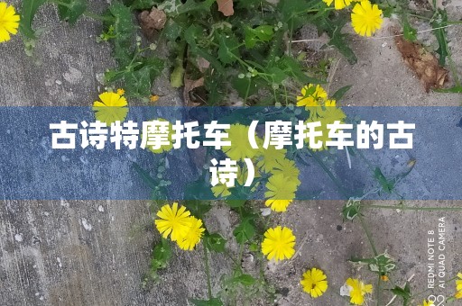 古诗特摩托车（摩托车的古诗）