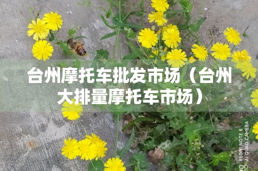 台州摩托车批发市场（台州大排量摩托车市场）