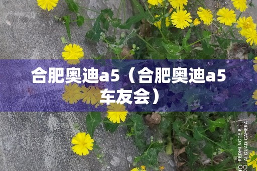 合肥奥迪a5（合肥奥迪a5车友会）