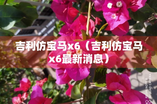 吉利仿宝马x6（吉利仿宝马x6最新消息）