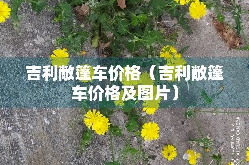 吉利敞篷车价格（吉利敞篷车价格及图片）