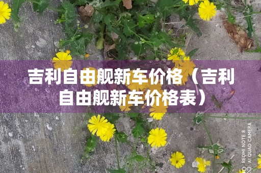 吉利自由舰新车价格（吉利自由舰新车价格表）