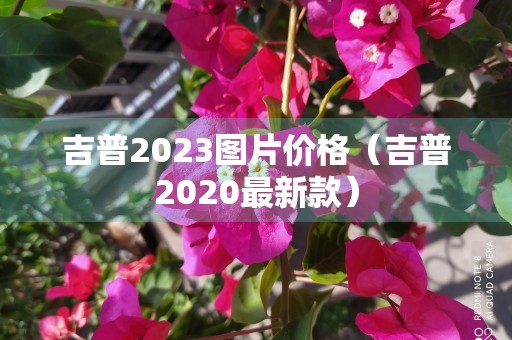 吉普2023图片价格（吉普2020最新款）