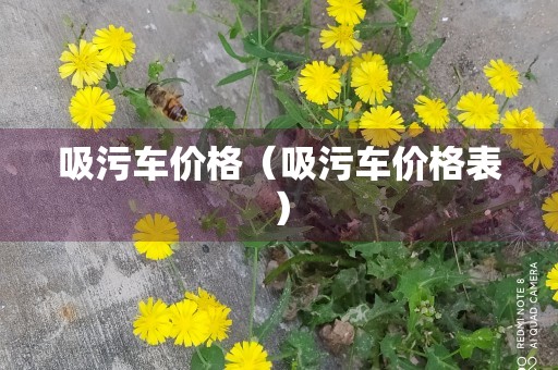 吸污车价格（吸污车价格表）