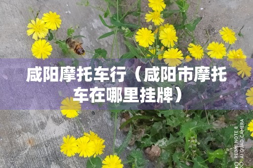 咸阳摩托车行（咸阳市摩托车在哪里挂牌）