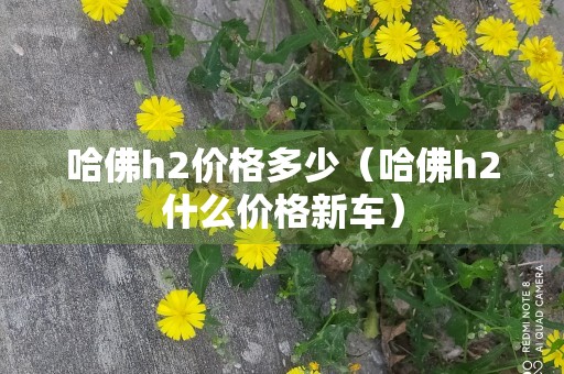 哈佛h2价格多少（哈佛h2什么价格新车）