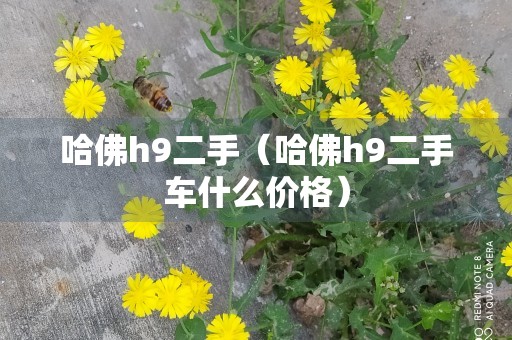 哈佛h9二手（哈佛h9二手车什么价格）