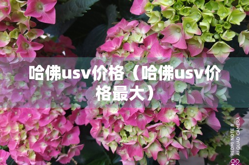 哈佛usv价格（哈佛usv价格最大）