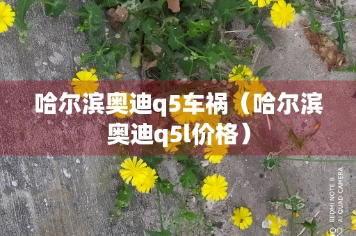 哈尔滨奥迪q5车祸（哈尔滨奥迪q5l价格）