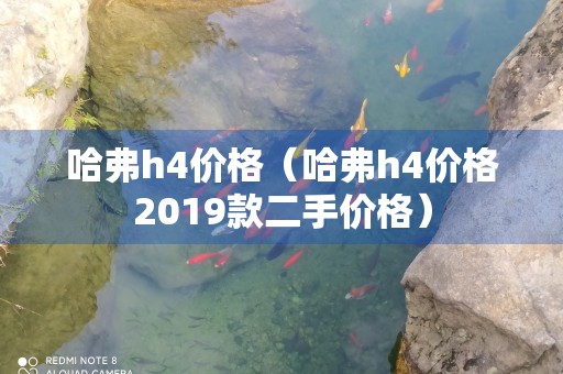 哈弗h4价格（哈弗h4价格2019款二手价格）