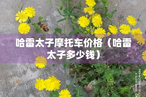 哈雷太子摩托车价格（哈雷太子多少钱）