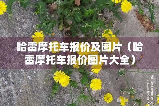 哈雷摩托车报价及图片（哈雷摩托车报价图片大全）