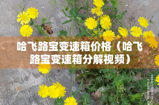 哈飞路宝变速箱价格（哈飞路宝变速箱分解视频）