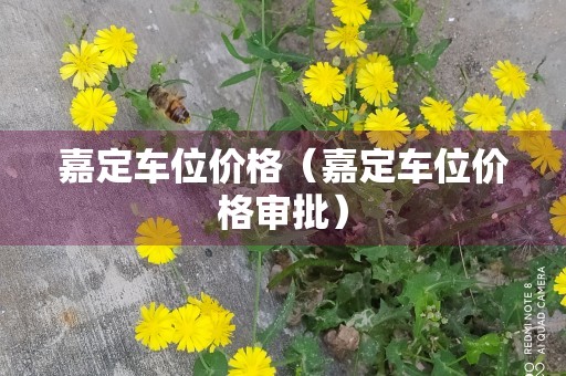 嘉定车位价格（嘉定车位价格审批）