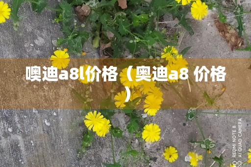 噢迪a8l价格（奥迪a8 价格）