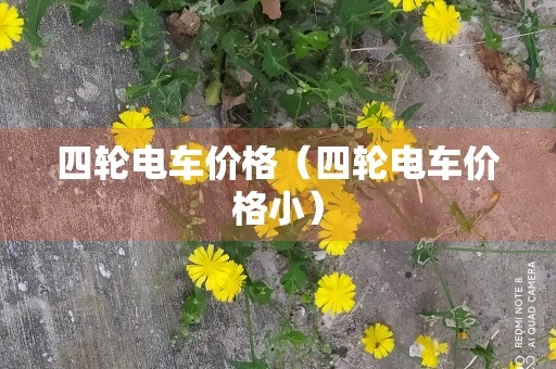 四轮电车价格（四轮电车价格小）