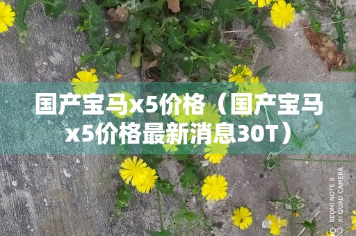 国产宝马x5价格（国产宝马x5价格最新消息30T）