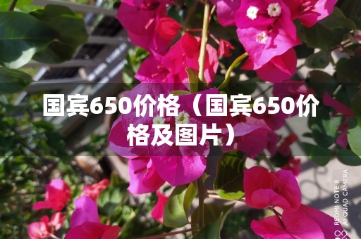 国宾650价格（国宾650价格及图片）