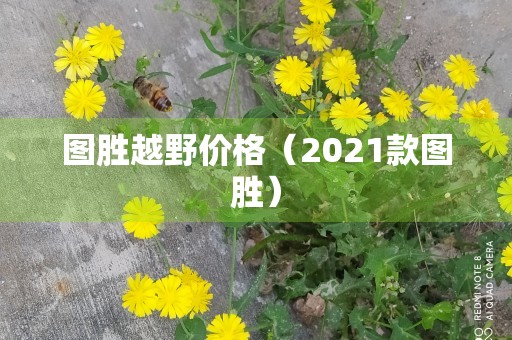 图胜越野价格（2021款图胜）