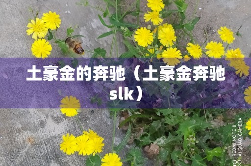 土豪金的奔驰（土豪金奔驰slk）