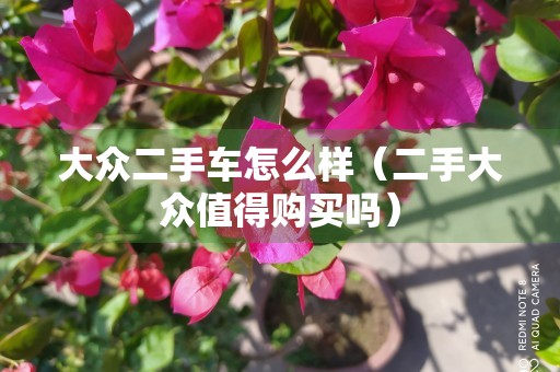 大众二手车怎么样（二手大众值得购买吗）