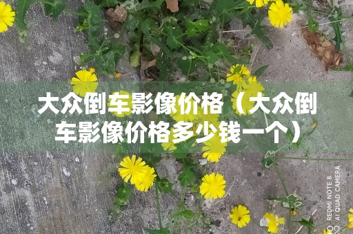 大众倒车影像价格（大众倒车影像价格多少钱一个）