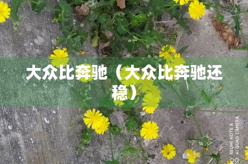 大众比奔驰（大众比奔驰还稳）