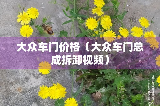 大众车门价格（大众车门总成拆卸视频）