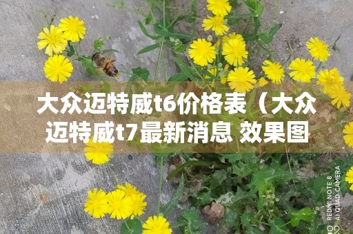 大众迈特威t6价格表（大众迈特威t7最新消息 效果图）