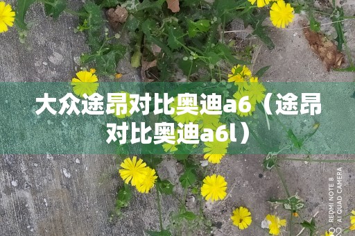 大众途昂对比奥迪a6（途昂对比奥迪a6l）