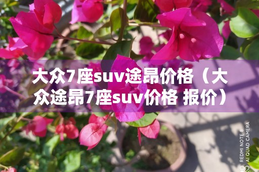 大众7座suv途昂价格（大众途昂7座suv价格 报价）