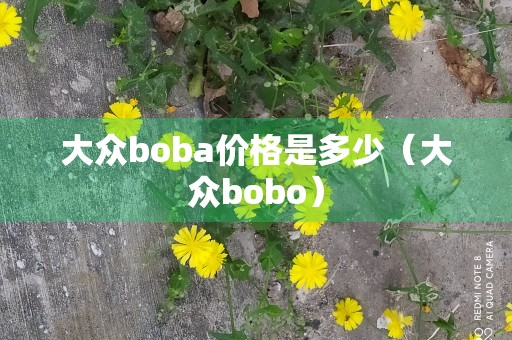 大众boba价格是多少（大众bobo）