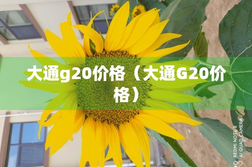 大通g20价格（大通G20价格）