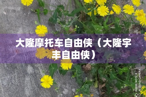 大隆摩托车自由侠（大隆宇丰自由侠）