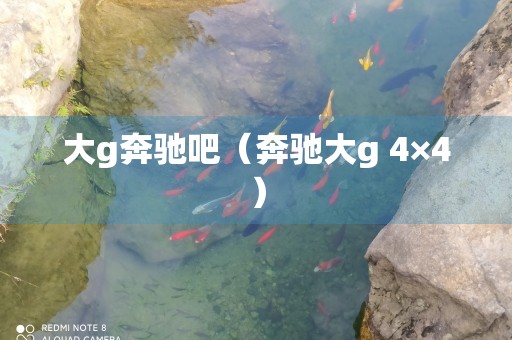 大g奔驰吧（奔驰大g 4×4）