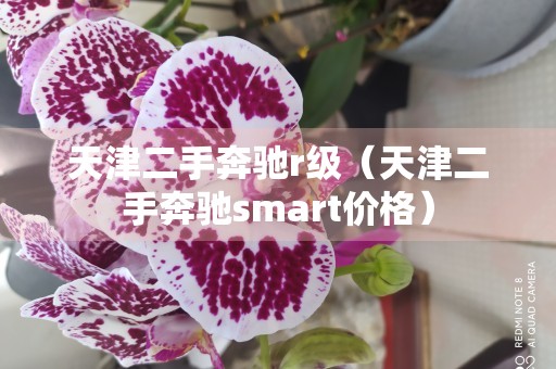 天津二手奔驰r级（天津二手奔驰smart价格）