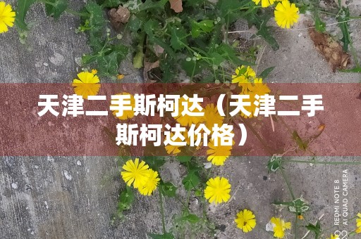 天津二手斯柯达（天津二手斯柯达价格）