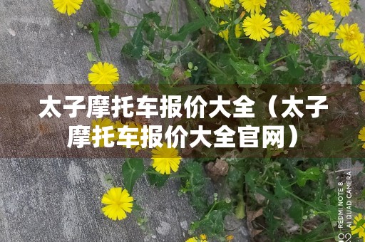 太子摩托车报价大全（太子摩托车报价大全官网）